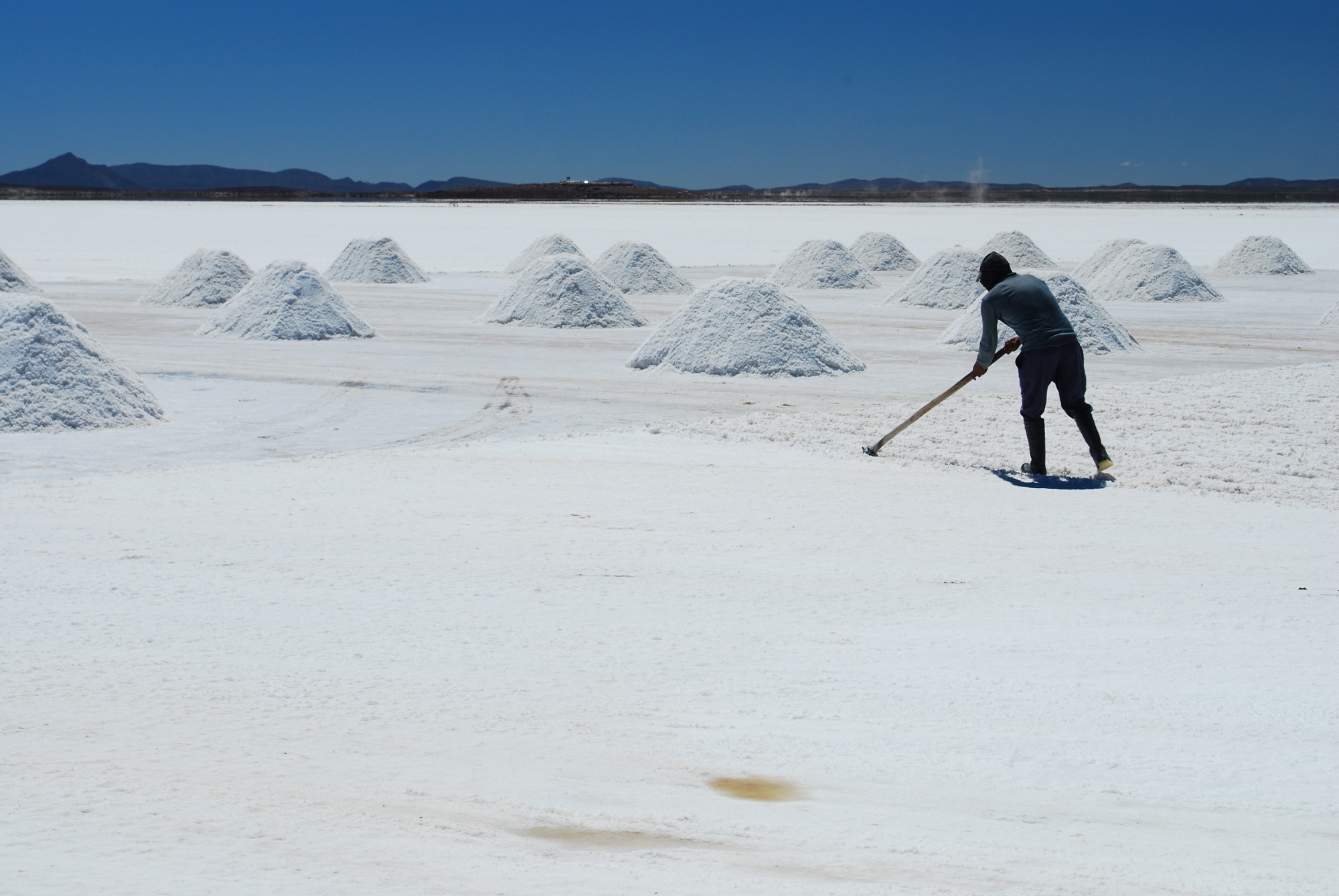Chili désert de sel